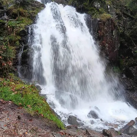 Feriehus Chez Gigi Et Malou - Jonquille
