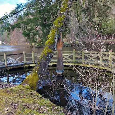 Chez Gigi Et Malou - Jonquille * Champ-le-Duc