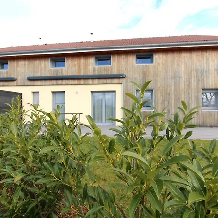 Chez Gigi Et Malou - Jonquille