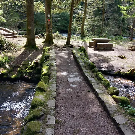 Chez Gigi Et Malou - Jonquille Feriehus *