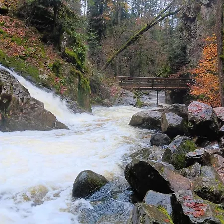 Feriehus Chez Gigi Et Malou - Jonquille *