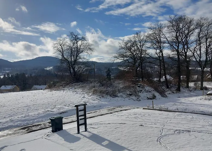 Chez Gigi Et Malou - Jonquille